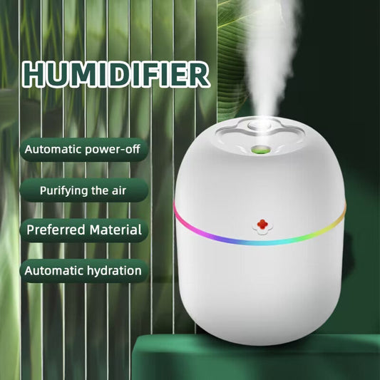 Mini Desktop Humidifier